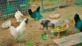 석모도 펜션 신축, 가족. 단체. 커플 바바벨리 강화도 펜션추천