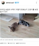 수맥흐름