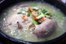 이지데이 맛집 - 금성삼계탕