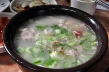이지데이 맛집 - 코보식당