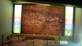 이지데이 맛집 - 동삼동 패총전시관