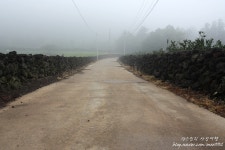 여성포털 이지데이 - Life is Beautiful, ezday