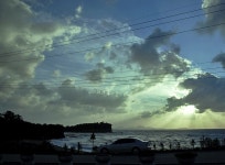 이지데이 맛집 - 고사포 송림해수욕장