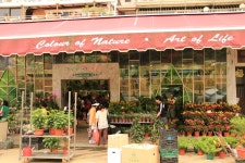 부산광역시남구 꽃배달, 부산광역시남구 꽃집, 부산광역시 남구 지게골로 67 꽃집, (문현동) 꽃집, 부산광역시 남구 지게골로 67 꽃배달, (문현동)... 