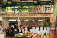 부산광역시남구 꽃배달, 부산광역시남구 꽃집, 부산광역시 남구 지게골로 67 꽃집, (문현동) 꽃집, 부산광역시 남구 지게골로 67 꽃배달, (문현동)... 