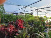 꽃배달서비스 - 플라워119꽃배달서비스 - [일맥화원, 서울특별시강동구]] 카테고리[꽃다발]