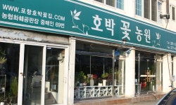 포항호박꽃농원, 경상북도포항시 북구 꽃배달 - 플라워119꽃배달서비스 - 카테고리 꽃다발 , 꽃배달, 꽃선물, 전국꽃배달서비스,맞춤꽃배달,꽃... 