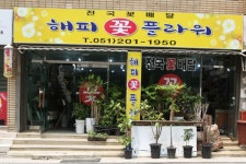 꽃배달 - 플라워119꽃배달서비스 - 해피플라워, 부산광역시사하구 카테고리 꽃다발 , 꽃배달, 꽃선물, 전국꽃배달서비스,맞춤꽃배달,꽃, 꽃집... 