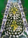 꽃배달 - 플라워119꽃배달서비스 플라워119꽃배달서비스 