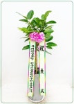 부암동가든, 서울특별시종로구 꽃배달 - 플라워119꽃배달서비스 - 카테고리 꽃다발 , 꽃배달, 꽃선물, 전국꽃배달서비스,맞춤꽃배달,꽃, 꽃집... 