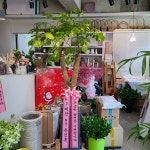 꽃배달 - 플라워119꽃배달서비스 - 플라워119본부, 서울특별시서초구 카테고리 꽃다발 , 꽃배달, 꽃선물, 전국꽃배달서비스,맞춤꽃배달,꽃, 꽃집... 