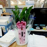 꽃배달 - 플라워119꽃배달서비스 플라워119꽃배달서비스 