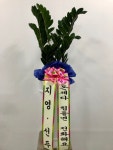 꽃배달 - 플라워119꽃배달서비스 플라워119꽃배달서비스 