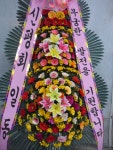 세레나데(화환X), 경기도안성시 꽃배달 - 플라워119꽃배달서비스 - 카테고리 꽃다발 , 꽃배달, 꽃선물, 전국꽃배달서비스,맞춤꽃배달,꽃, 꽃집...