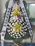 꽃배달 - 플라워119꽃배달서비스 플라워119꽃배달서비스 