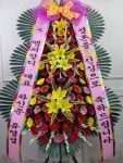 꽃배달 - 플라워119꽃배달서비스 플라워119꽃배달서비스 