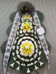 전국꽃배달서비스,맞춤꽃배달,꽃, 꽃집,맞춤꽃, 적립금, 기념일 관리... 격려, 사랑고백, 감사, 축하, 사과, 꽃선물, 꽃바구니, 꽃다발... 