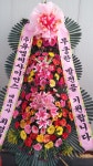 꽃배달 - 플라워119꽃배달서비스 플라워119꽃배달서비스 