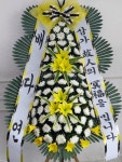 꽃배달 - 플라워119꽃배달서비스 플라워119꽃배달서비스 
