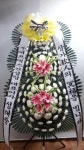 꽃배달 - 플라워119꽃배달서비스 플라워119꽃배달서비스 
