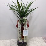 꽃배달 - 플라워119꽃배달서비스 플라워119꽃배달서비스 