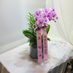 플라워119본부, 서울특별시강남구 꽃배달 - 플라워119꽃배달서비스 - 카테고리 꽃다발 , 꽃배달, 꽃선물, 전국꽃배달서비스,맞춤꽃배달,꽃, 꽃집... 