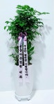 꽃배달서비스 - 플라워119꽃배달서비스 - [플라워119본부, 서울특별시강남구]] 카테고리[꽃다발]