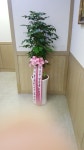 꽃소식플라워, 대전광역시서구 꽃배달 - 플라워119꽃배달서비스 - 카테고리 꽃다발 , 꽃배달, 꽃선물, 전국꽃배달서비스,맞춤꽃배달,꽃, 꽃집... 