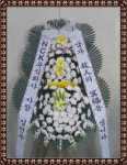 평택포도화원, 경기도평택시 꽃배달 - 플라워119꽃배달서비스 - 카테고리 꽃다발 , 꽃배달, 꽃선물, 전국꽃배달서비스,맞춤꽃배달,꽃, 꽃집... 