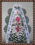평택포도화원, 경기도평택시 꽃배달 - 플라워119꽃배달서비스 - 카테고리 꽃다발 , 꽃배달, 꽃선물, 전국꽃배달서비스,맞춤꽃배달,꽃, 꽃집... 
