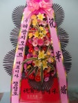 주식회사 꽃파는사람들, 대구광역시달서구 꽃배달... 격려, 사랑고백, 감사, 축하, 사과, 꽃선물, 꽃바구니, 꽃다발, 생일축하꽃배달, 개업꽃... 