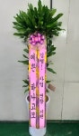 평택포도화원, 경기도평택시 꽃배달 - 플라워119꽃배달서비스 - 카테고리 꽃다발 , 꽃배달, 꽃선물, 전국꽃배달서비스,맞춤꽃배달,꽃, 꽃집... 