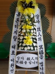포항호박꽃농원, 경상북도포항시 북구 꽃배달 - 플라워119꽃배달서비스 - 카테고리 꽃다발 , 꽃배달, 꽃선물, 전국꽃배달서비스,맞춤꽃배달,꽃... 