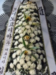 꽃배달 - 플라워119꽃배달서비스 - 대전가원플라워, 대전광역시서구 카테고리 꽃다발 , 꽃배달, 꽃선물, 전국꽃배달서비스,맞춤꽃배달,꽃, 꽃집... 