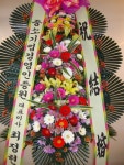 꽃배달 - 플라워119꽃배달서비스 - 대전가원플라워, 대전광역시서구 카테고리 꽃다발 , 꽃배달, 꽃선물, 전국꽃배달서비스,맞춤꽃배달,꽃, 꽃집... 
