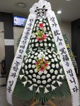 춘천 힐링플라워, 강원도춘천시 꽃배달 - 플라워119꽃배달서비스 - 카테고리 꽃다발 , 꽃배달, 꽃선물, 전국꽃배달서비스,맞춤꽃배달,꽃, 꽃집... 