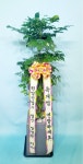 꽃배달서비스 - 플라워119꽃배달서비스 - 플라워119본부, 서울특별시강남구  카테고리 꽃다발 , 꽃배달, 꽃선물, 전국꽃배달서비스,맞춤꽃배달,꽃... 