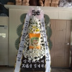 꽃배달서비스 - 플라워119꽃배달서비스 - 플라워119본부, 서울특별시강남구  카테고리 꽃다발 , 꽃배달, 꽃선물, 전국꽃배달서비스,맞춤꽃배달,꽃... 