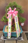 꽃배달 - 플라워119꽃배달서비스 - 감동원예, 대구광역시동구 카테고리 꽃다발 , 꽃배달, 꽃선물, 전국꽃배달서비스,맞춤꽃배달,꽃, 꽃집,맞춤꽃... 