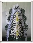 평택포도화원, 경기도평택시 꽃배달 - 플라워119꽃배달서비스 - 카테고리 꽃다발 , 꽃배달, 꽃선물, 전국꽃배달서비스,맞춤꽃배달,꽃, 꽃집... 
