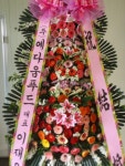 평택포도화원, 경기도평택시 꽃배달 - 플라워119꽃배달서비스 - 카테고리 꽃다발 , 꽃배달, 꽃선물, 전국꽃배달서비스,맞춤꽃배달,꽃, 꽃집... 