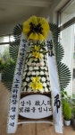포항호박꽃농원, 경상북도포항시 북구 꽃배달 - 플라워119꽃배달서비스 - 카테고리 꽃다발 , 꽃배달, 꽃선물, 전국꽃배달서비스,맞춤꽃배달,꽃... 
