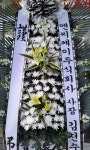 플라워하늘, 대구광역시서구 카테고리 꽃다발 , 꽃배달, 꽃선물, 전국꽃배달서비스,맞춤꽃배달,꽃, 꽃집,맞춤꽃, 적립금, 기념일 관리, 꽃꽂이... 