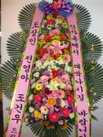 꽃배달 - 플라워119꽃배달서비스 - 대전가원플라워, 대전광역시서구 카테고리 꽃다발 , 꽃배달, 꽃선물, 전국꽃배달서비스,맞춤꽃배달,꽃, 꽃집... 