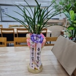 플라워119본부, 서울특별시서초구 꽃배달 - 플라워119꽃배달서비스 - 카테고리 꽃다발 , 꽃배달, 꽃선물, 전국꽃배달서비스,맞춤꽃배달,꽃, 꽃집... 