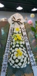 고운플라워, 제주특별자치도서귀포시 꽃배달 - 플라워119꽃배달서비스 - 카테고리 꽃다발 , 꽃배달, 꽃선물, 전국꽃배달서비스,맞춤꽃배달,꽃... 