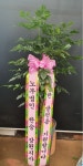 꽃배달서비스 - 플라워119꽃배달서비스 - 플라워119본부, 서울특별시강남구  카테고리 꽃다발 , 꽃배달, 꽃선물, 전국꽃배달서비스,맞춤꽃배달,꽃... 