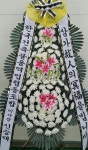 꽃배달 - 플라워119꽃배달서비스 플라워119꽃배달서비스 