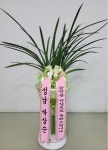 플라워119본부, 서울특별시강남구 꽃배달 - 플라워119꽃배달서비스 - 카테고리 꽃다발 , 꽃배달, 꽃선물, 전국꽃배달서비스,맞춤꽃배달,꽃, 꽃집... 