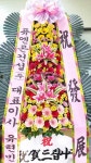 싱글벙글꽃집, 경상남도진주시 꽃배달 - 플라워119꽃배달서비스 - 카테고리 꽃다발 , 꽃배달, 꽃선물, 전국꽃배달서비스,맞춤꽃배달,꽃, 꽃집... 